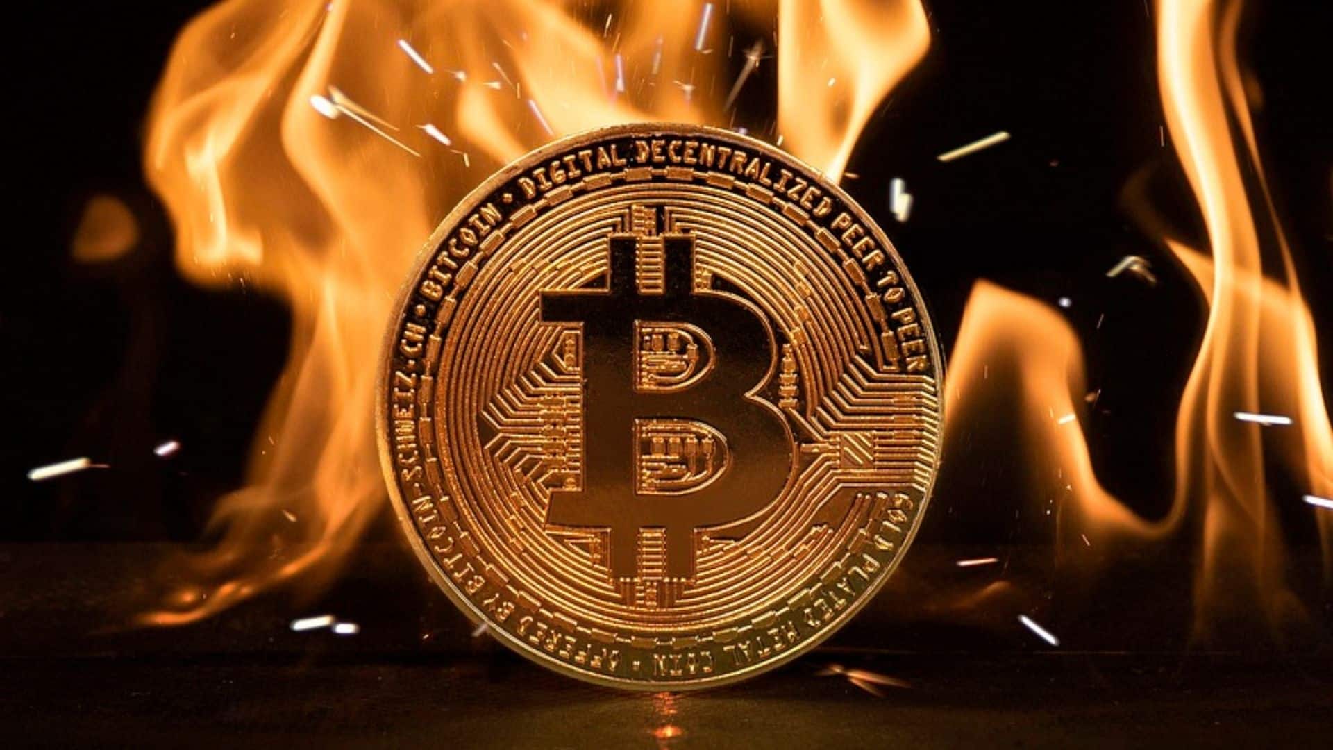 Jak Bitcoin zareaguje na cła Trump? Ekspert wyjaśnia, co nas czeka