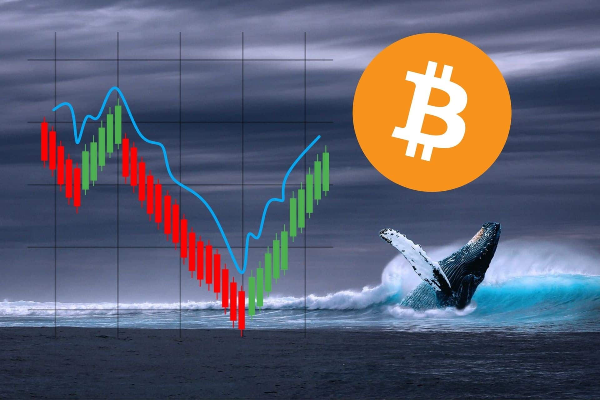 Bitcoin zaliczy kolejny krach? Wieloryby ani nie sprzedają, ani nie kupują, ale dają jasny sygnał, co może nastąpić za chwilę