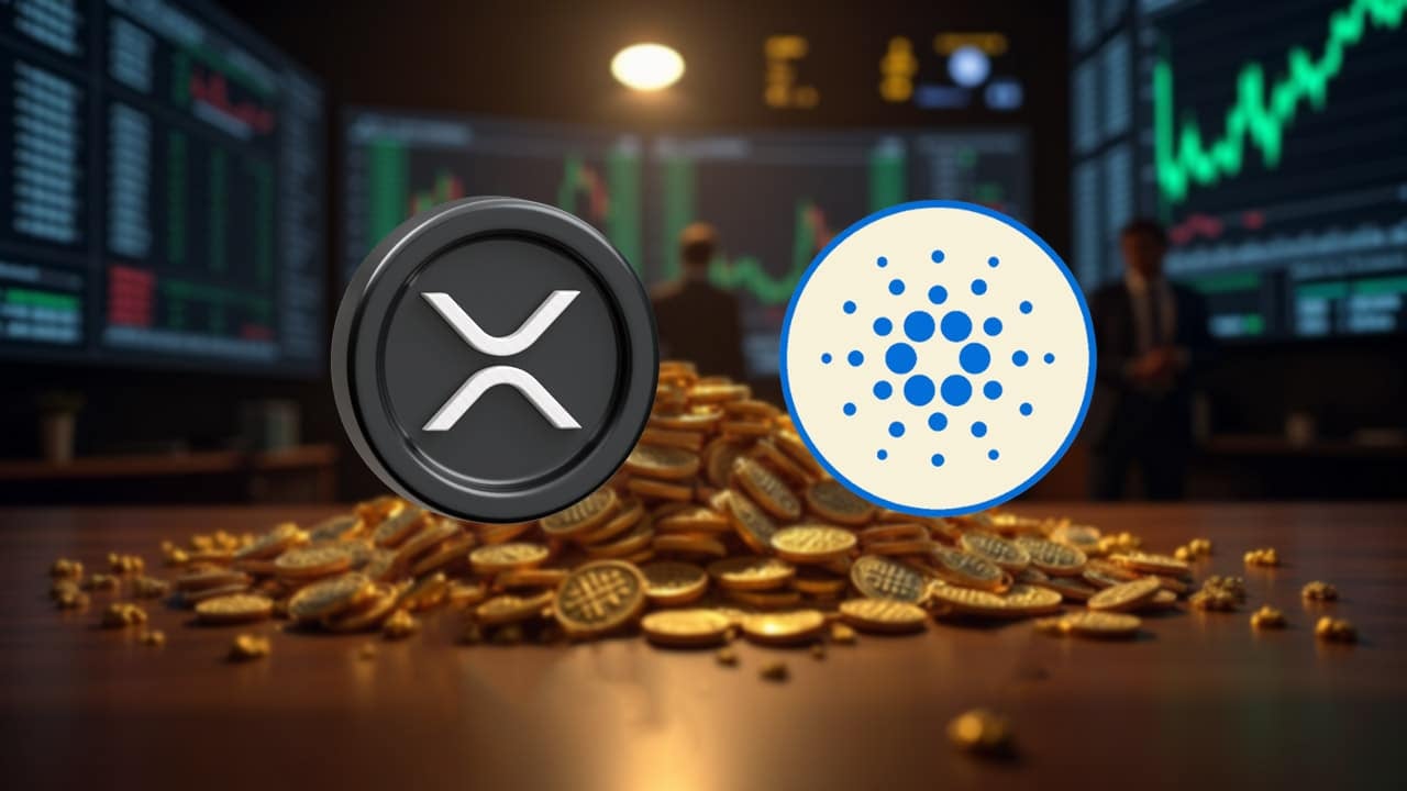 Oto ile tokenów NIGHT otrzymają posiadacze XRP w trakcie Cardano Midnight Airdrop