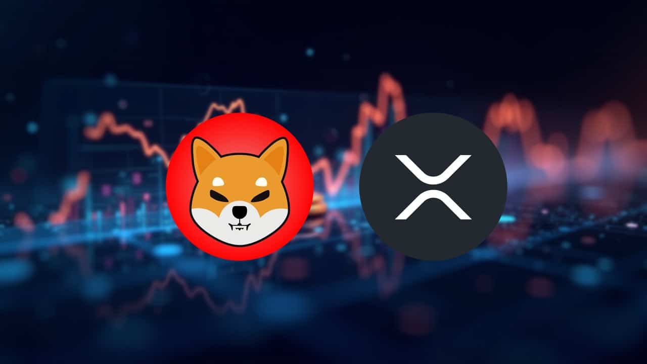 Znana osoba wybrała XRP i SHIB na kolejny cykl byka
