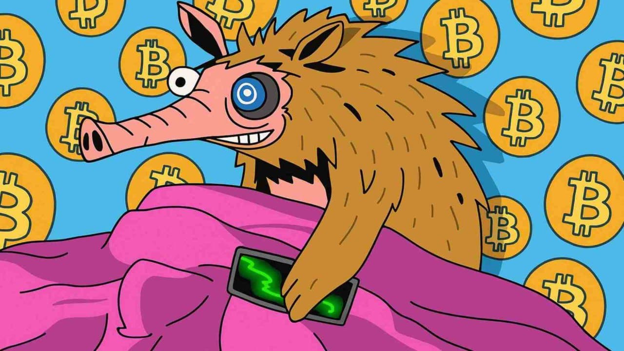 Na koncie już 1,45 mln dolarów – a to dopiero początek. Snorter Token się rozkręca