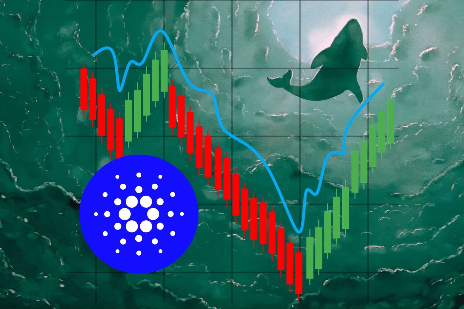 Cardano czeka spektakularny upadek? 'ETF nie pomoże ADA, inwestorzy tracącierpliwość’. Co dalej z altcoinem?
