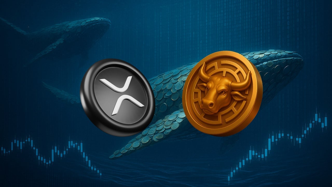 Rzadki sygnał XRP, który doprowadził go do +630%, znów błysnął. Wieloryby w ruchu, nowa okazja na horyzoncie