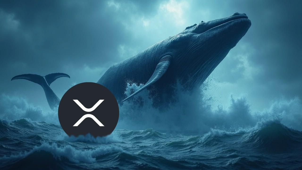 Ten wieloryb postawił wszystko na jedną kartę przeciwko XRP i właśnie zapłacił za to cenę