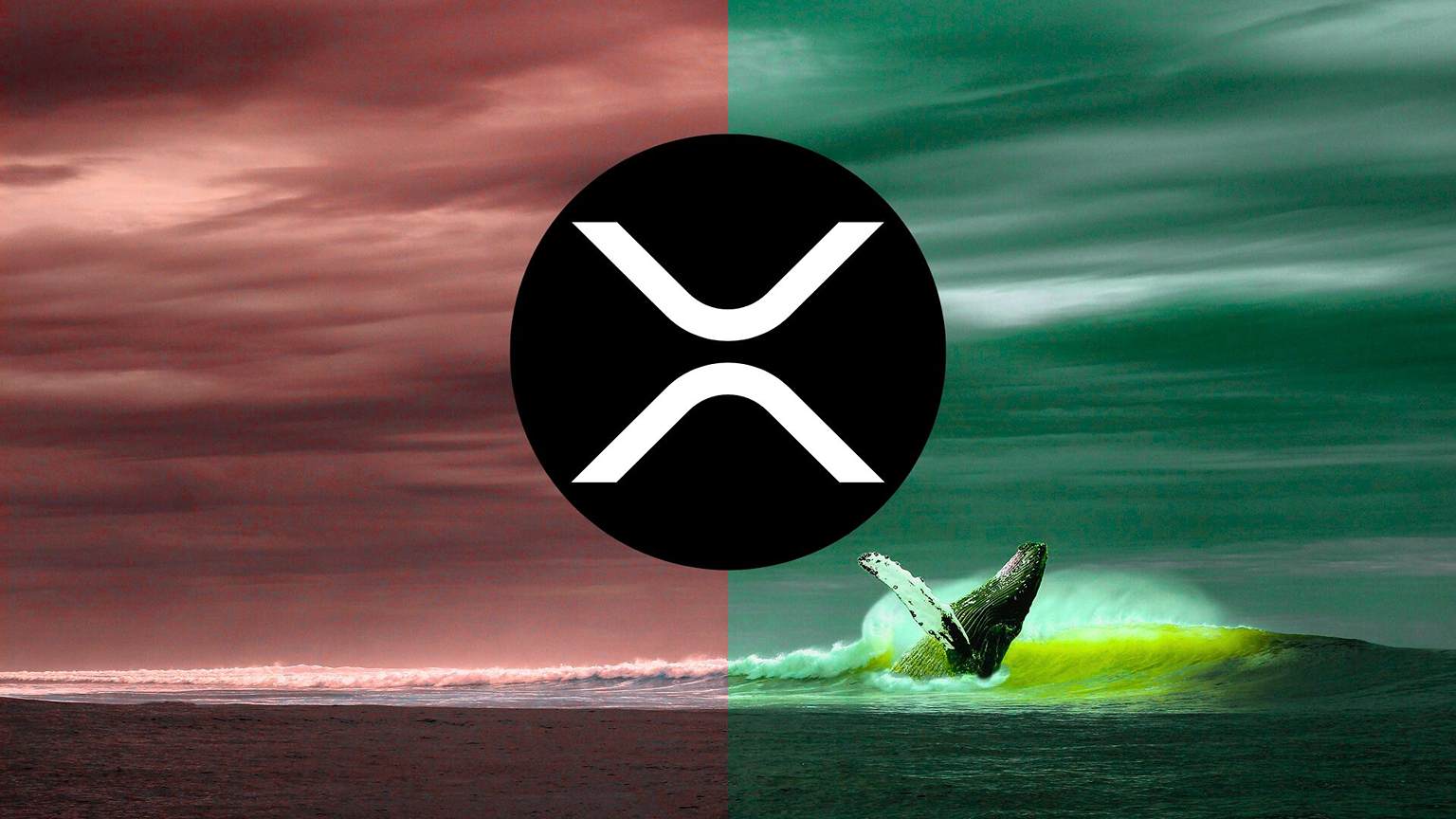 Tajemnicza seria transakcji z XRP. Co knują wieloryby Ripple? To bardzo cenna wskazówka