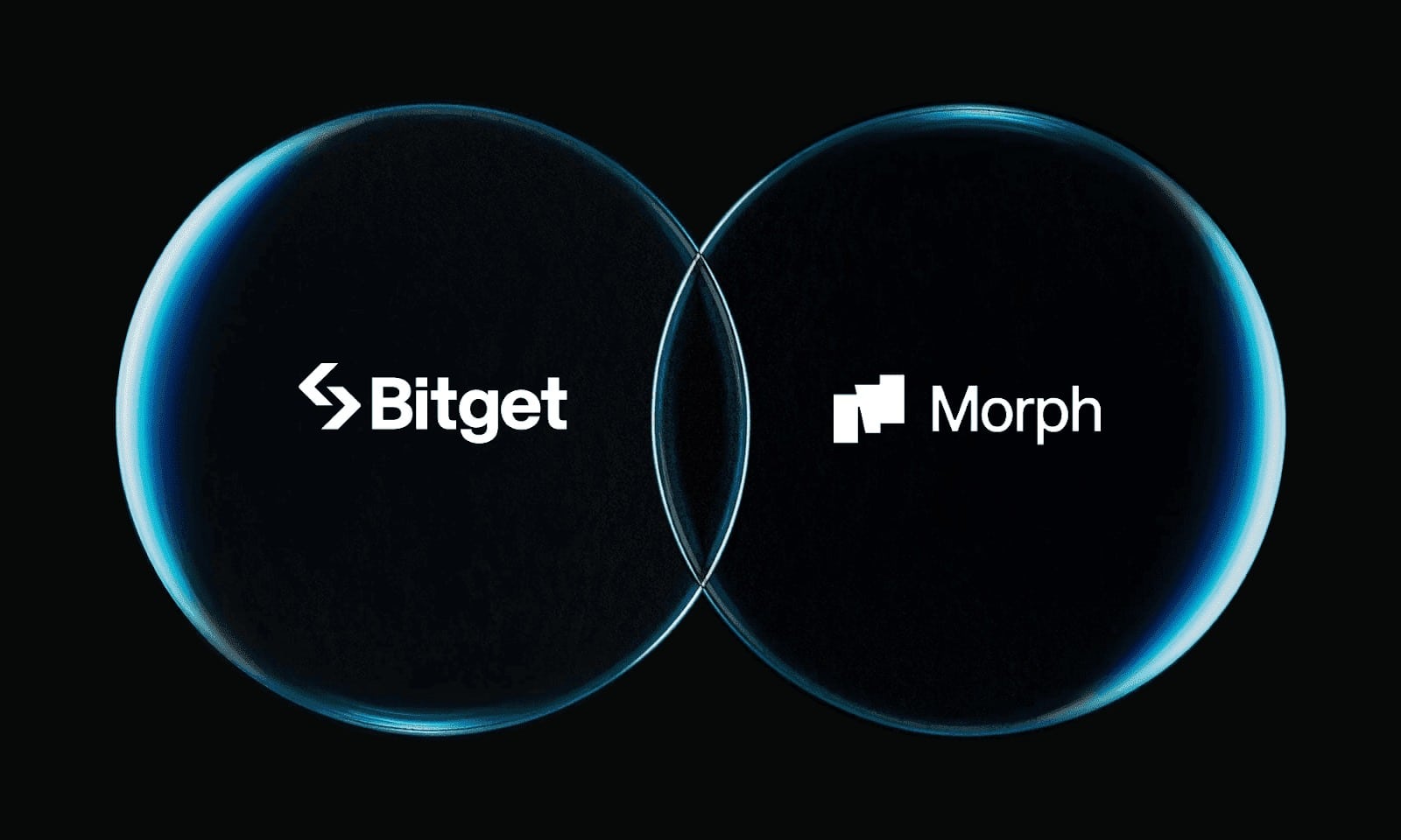 Bitget przenosi 440 milionów BGB do Morph Foundation, przyspieszając rozwój BGB jako tokenu paliwowego i zarządzającego łańcuchem Morph