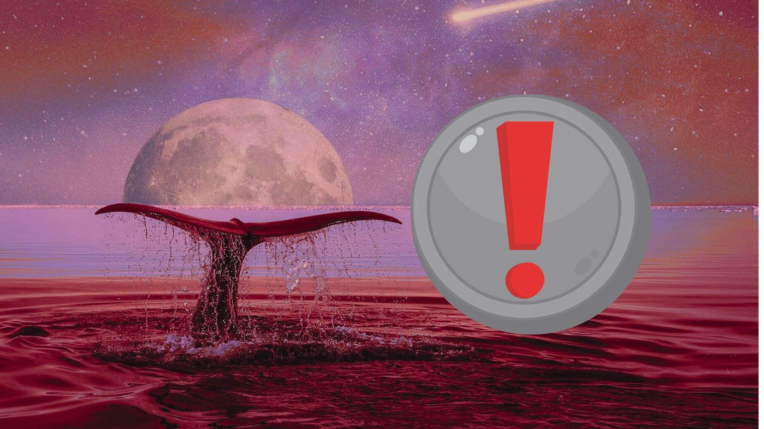 Wieloryby wycofały 500 tys. sztuk tej topowej kryptowaluty w tym tygodniu. Szykuje się załamanie kursu?