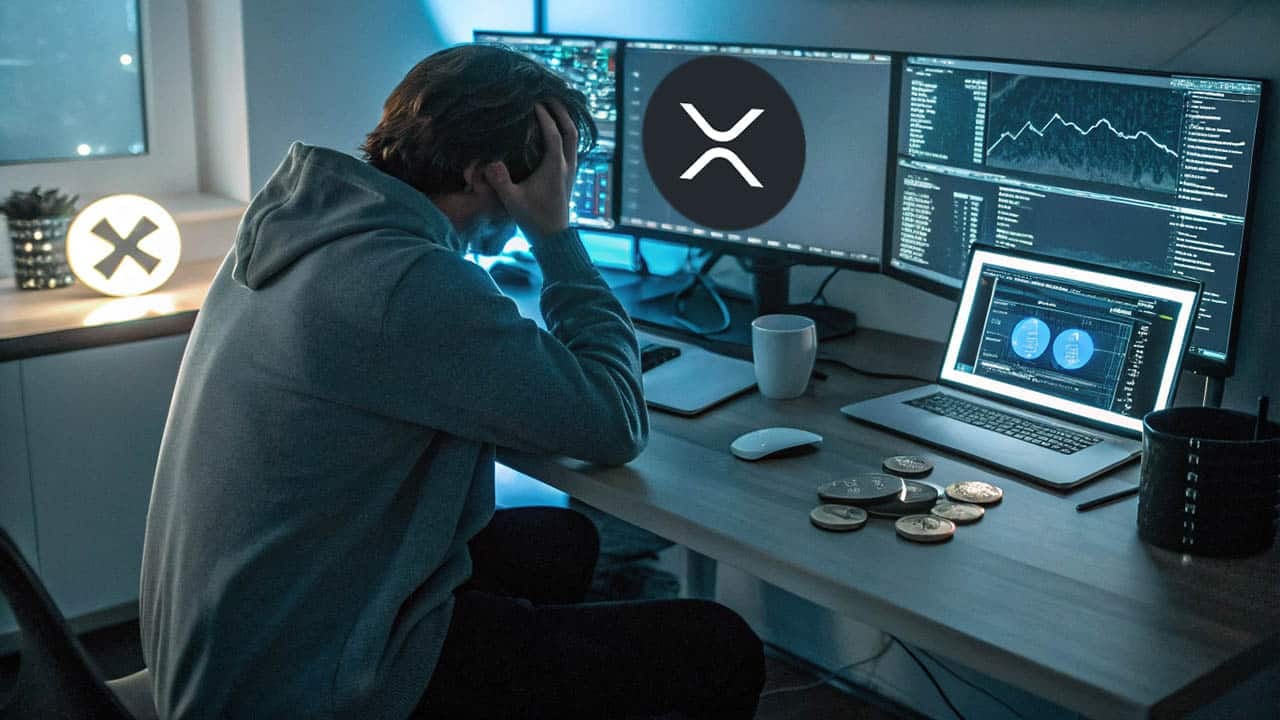 Dyrektor ds. technologii Ripple wysyła pilne ostrzeżenie dotyczące bezpieczeństwa posiadaczom XRP w związku ze wzrostem ataków phishingowych