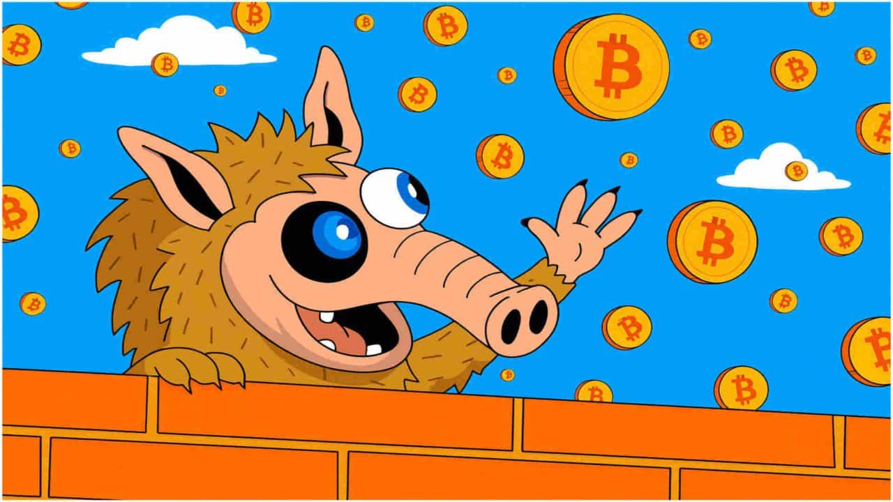 Rynek po wstrząsie i nagłym odbiciu. 19 mld USD wyparowało, a kapitał wraca inwestorów