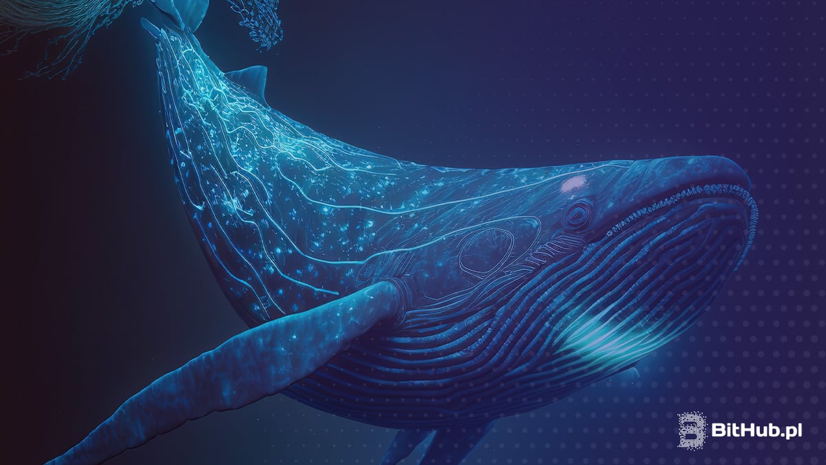 Wieloryby ruszyły na zakupy! 3 tokeny które akumulują najwięksi gracze