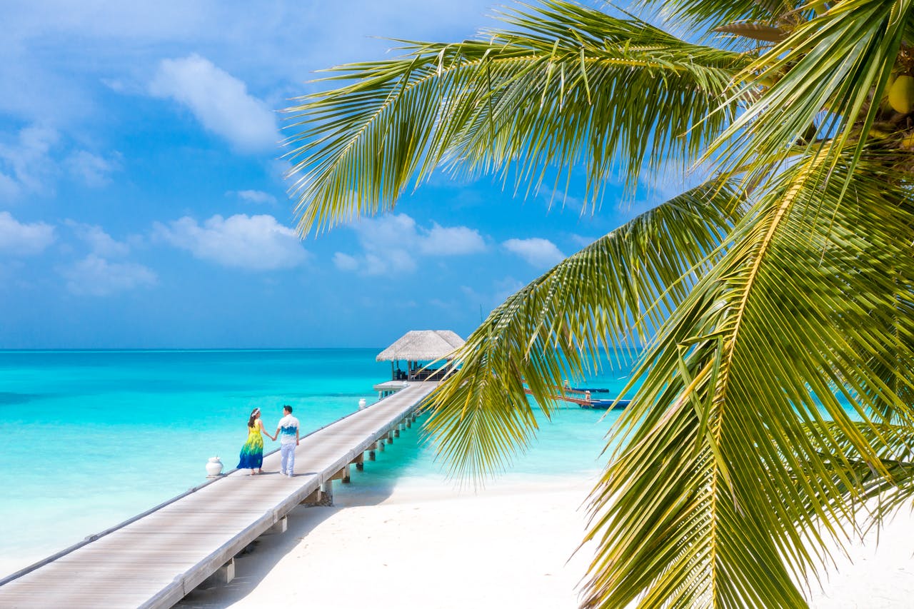 Notowania polskiej spółki wystrzeliły. Eksperci: akcje podrożeją jeszcze o kilkadziesiąt procent