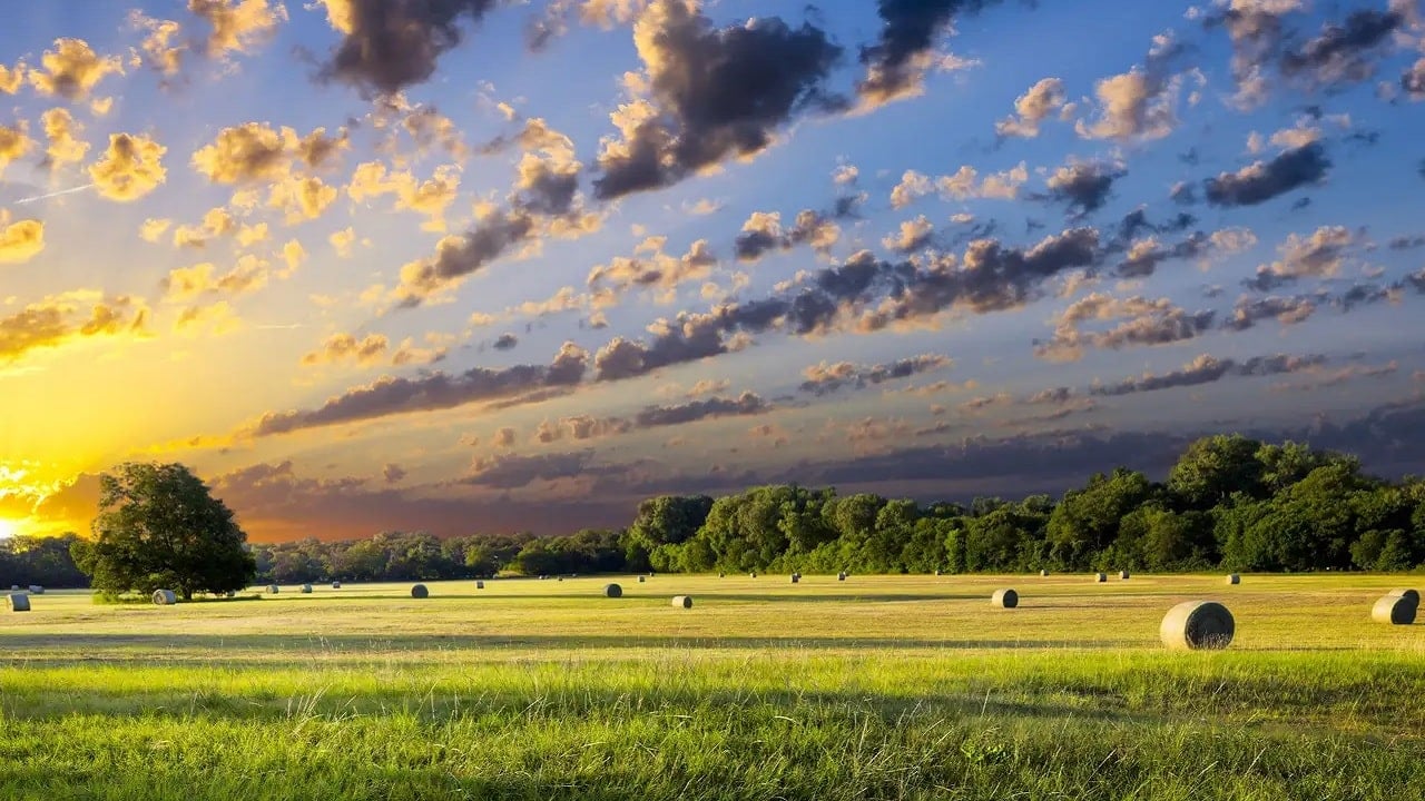 Ziemia — nie dla komunistów. Zakaz sprzedaży wchodzi w życie