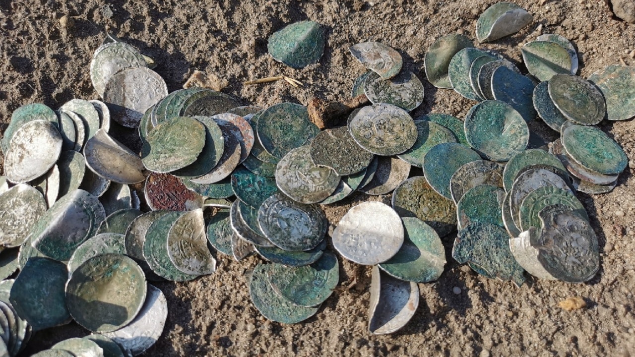 Srebrne monety setkami rozsypane w ziemi. Dwuletnie „zbiory” polskich poszukiwaczy – z ustawą w tle