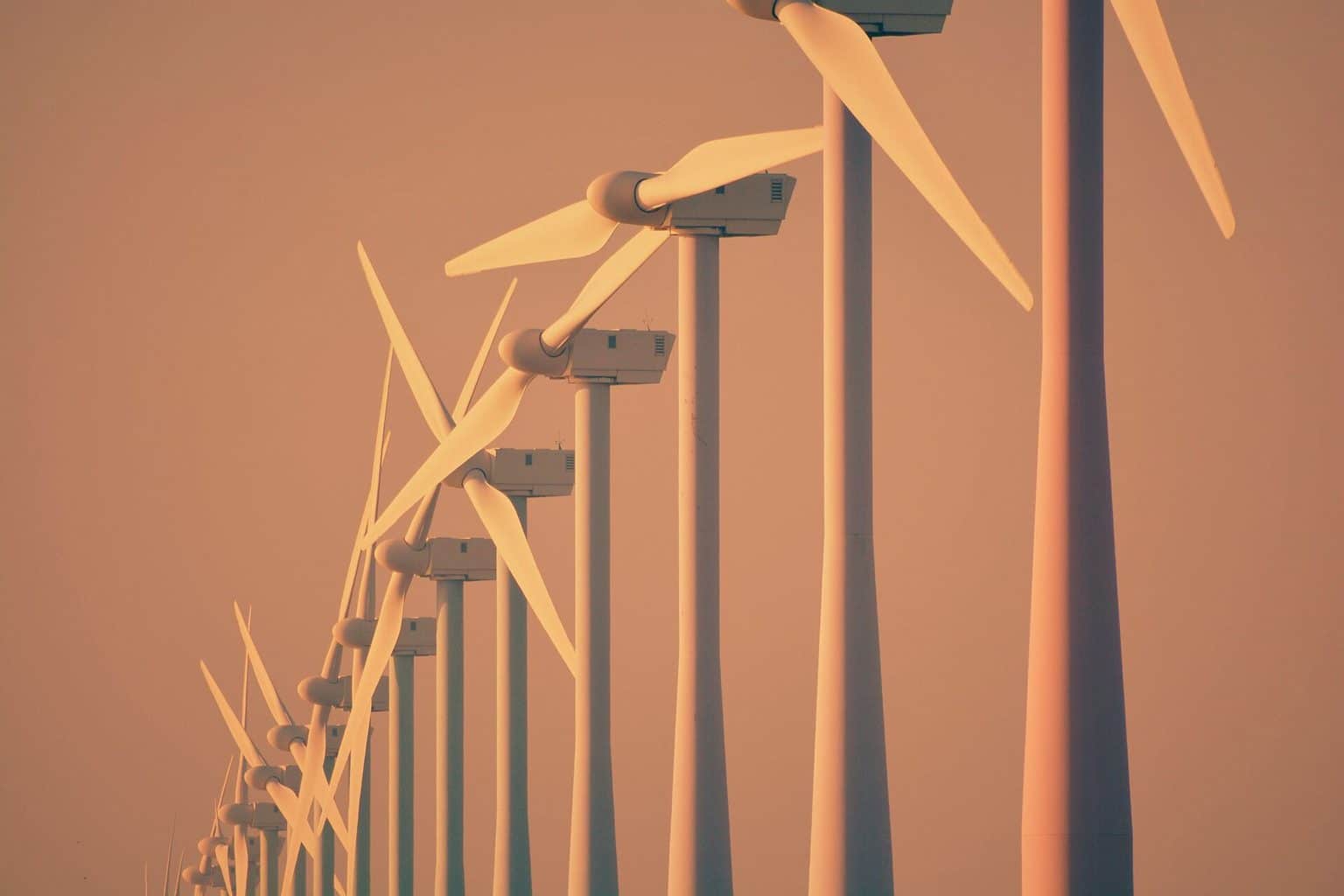 Niemcy wciskają nam wiatraki, a sami wracają do węgla. „Tą ustawę napisano poza granicami Polski”. Dlaczego polski rząd w to brnie?