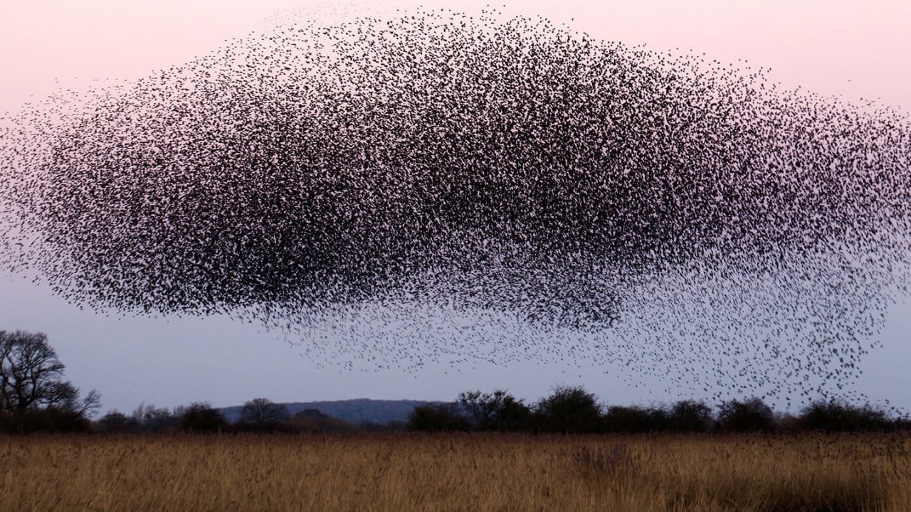 Gigantyczny zakład biotechnologiczny (!) bez pytania „zaszczepi” 140 mln ludzi