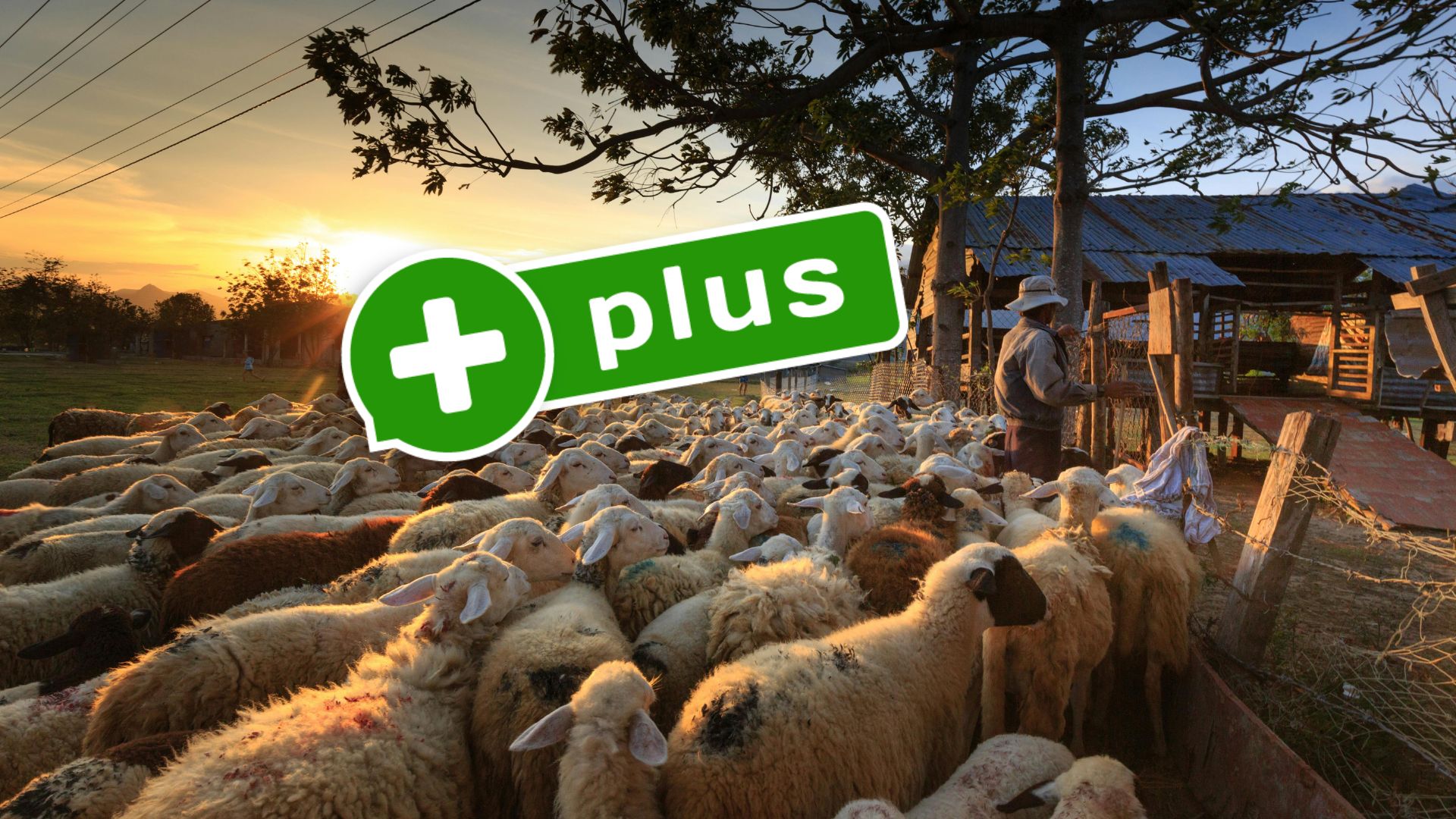 Bitcoin definitywnie kończy hossę? 'Kryptowlauty nie są na to gotowe’. Oto analiza Glassnode