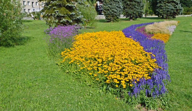 Trzecia edycja konkursu „Zielona Przestrzeń 2025”. niedługo rozpocznie się nabór wniosków