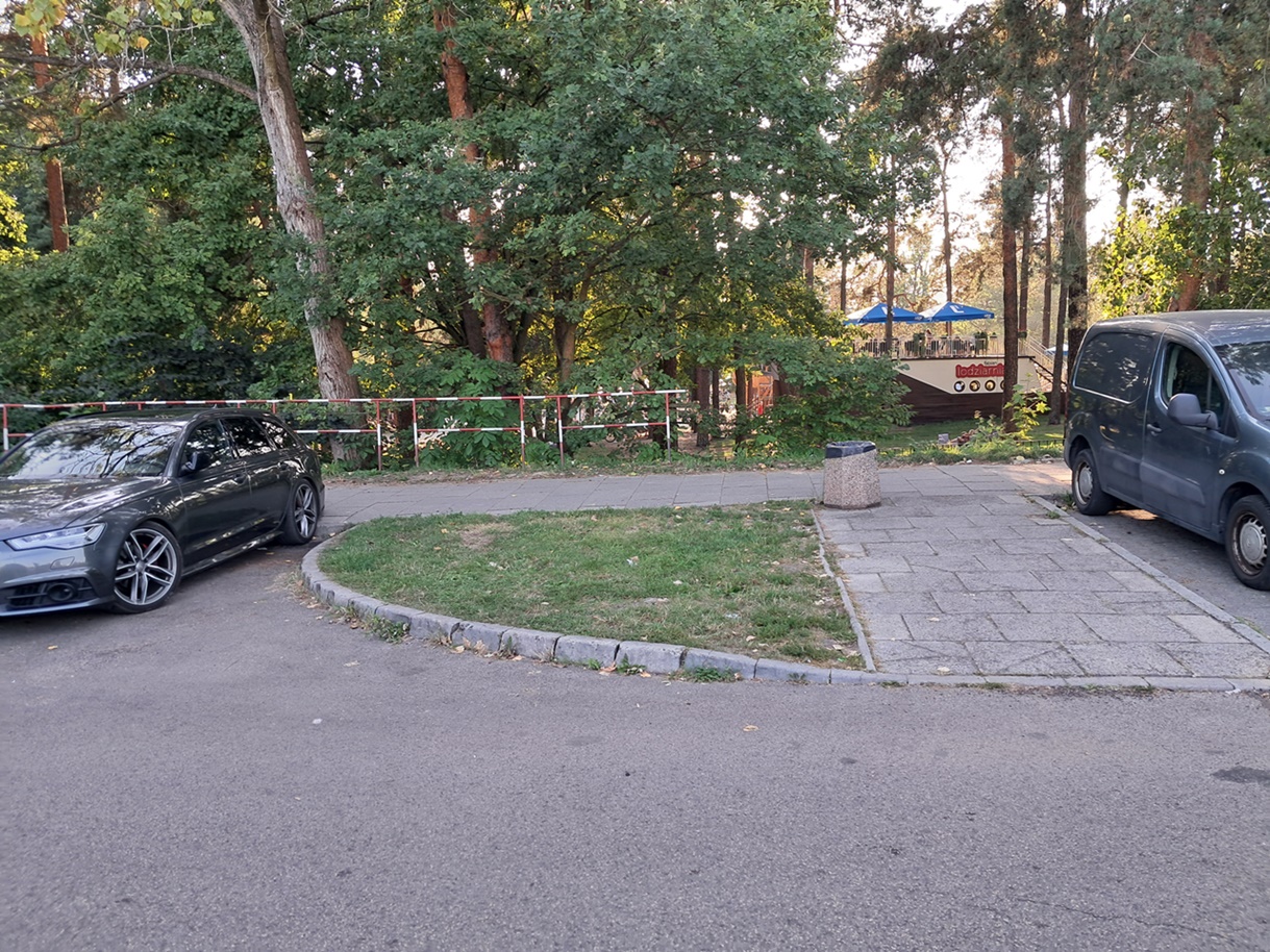 Trawnik należy przeznaczyć na miejsce parkingowe. Czytelnicy informują, my publikujemy