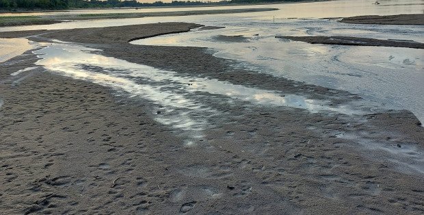 Brak opadów i wysokie temperatury. Na Mazowszu mamy suszę hydrologiczną