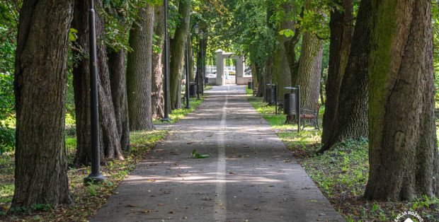 „Ludzie tego potrzebują”. Będą pierwsze w mieście parki kieszonkowe