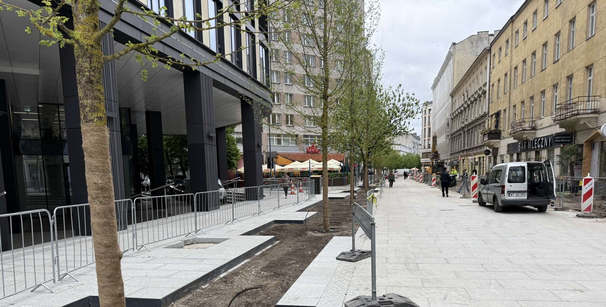 „Robi się zielono i ładnie”. Przy ulicy Zgoda posadzono blisko 9-metrowe wiązy