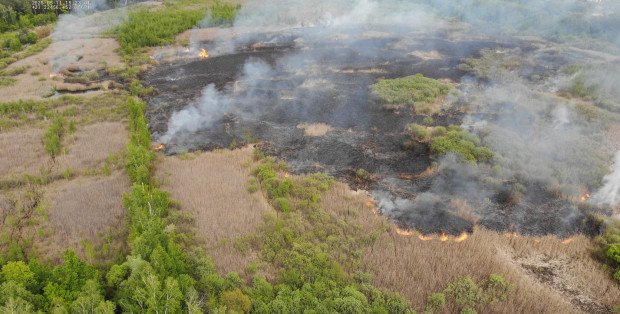 Pożar rezerwatu Białe Błota w Wołominie. „Mógł się przyczynić do tego człowiek”