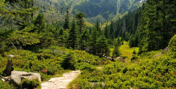 Najpiękniejsze widoki w Karkonoszach – gdzie je znajdziesz?