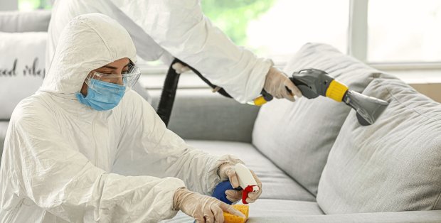 Sezon na insekty w Warszawie – postaw na profesjonalną dezynsekcję z BugStop!