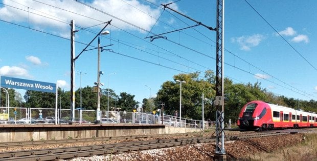 Ponad sto kolizji ze zwierzętami na mazowieckich torach od początku roku