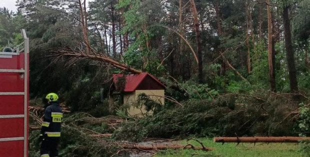 Nawałnica w Płocku. Drzewo przewróciło się na przechodnia, w gminie Drobin zerwane dachy