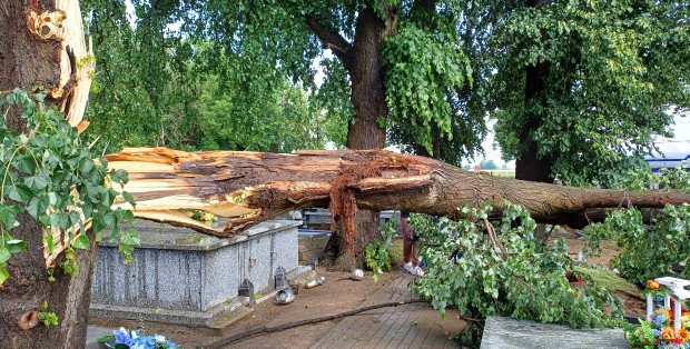 Mieszkańcy regionu płockiego po przejściu nawałnicy: To był moment, a straty ogromne