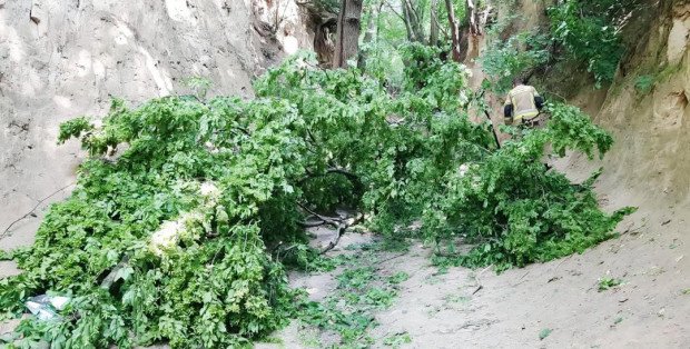 Trzy osoby przez cały czas w szpitalu po wypadku w wąwozie. Konar spadł na dzieci z wycieczki szkolnej