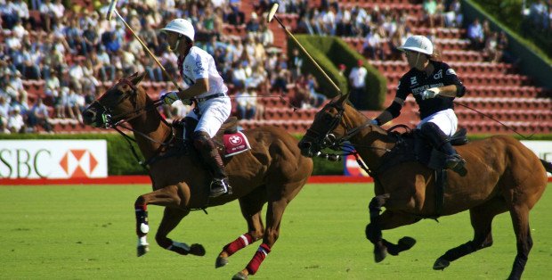 Filantropijny Piknik Polo. Dzień argentyńskiego Polaka w Brochowie