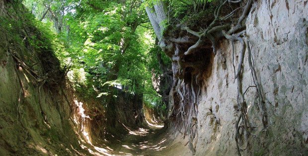 Konar spadł na wycieczkę szkolną z Warszawy. Jest śledztwo ws. wypadku w wąwozie