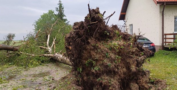 Potrzebna pomoc dla mieszkańców gminy Drobin. Wichura zniszczyła im domy i uprawy