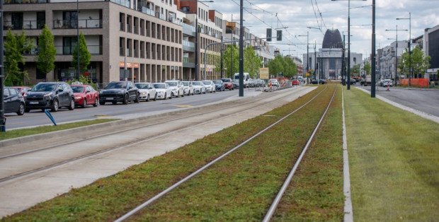 Asfaltowanie alei Rzeczypospolitej. Od dziś utrudnienia w Wilanowie