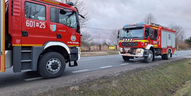 Duży pożar lasu na granicy Warszawy i Otwocka
