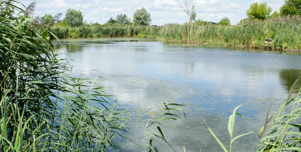 Czarne punkty wodne na Mazowszu. Gdzie unikać kąpieli? [SPRAWDŹ]