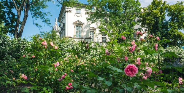 Imieniny Jana Kochanowskiego w Ogrodzie Krasińskich już w ten weekend