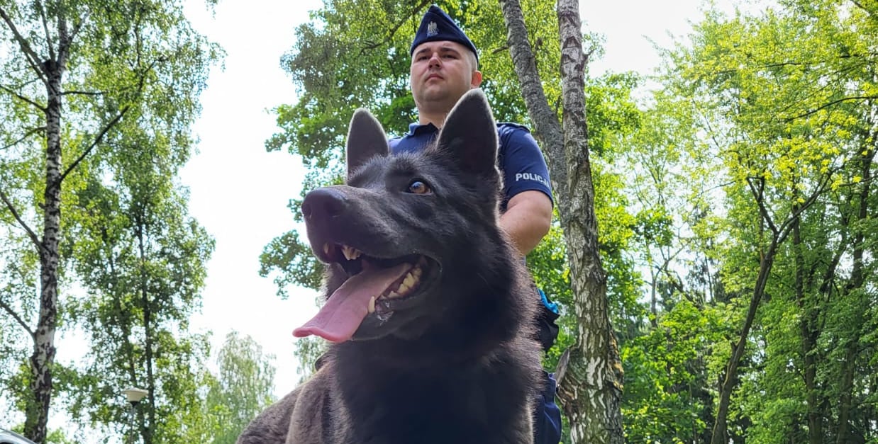 Jedyny taki pies na Mazowszu. Watra ze specjalną misją w policji Radomiu
