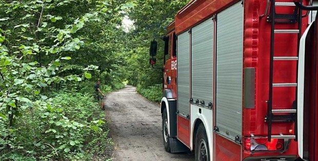 Zagrożenie pożarowe w lasach na Mazowszu. Tylko w weekend paliło się ponad 100 razy