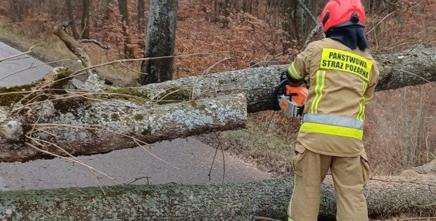 Ponad 150 interwencji straży w związku z burzami na Mazowszu