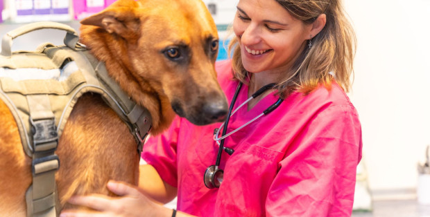 Tego nie nauczą Cię w zwykłej szkole (a powinni)