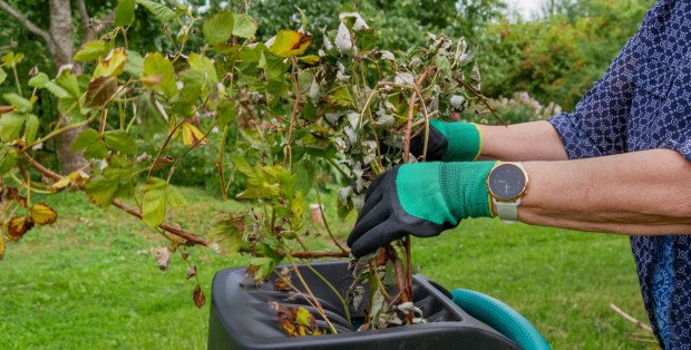 Rozdrabniacz do gałęzi: must-have dla wszystkich ogrodu