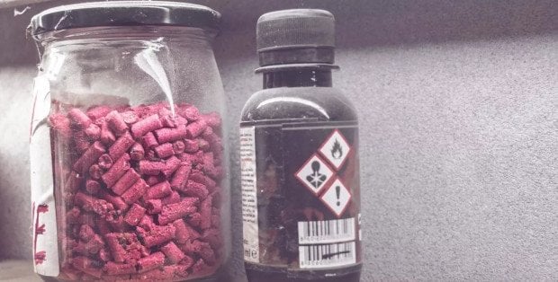 Ma ograniczyć ryzyko zatruć. Co z zakazem internetowej sprzedaży środków na gryzonie?