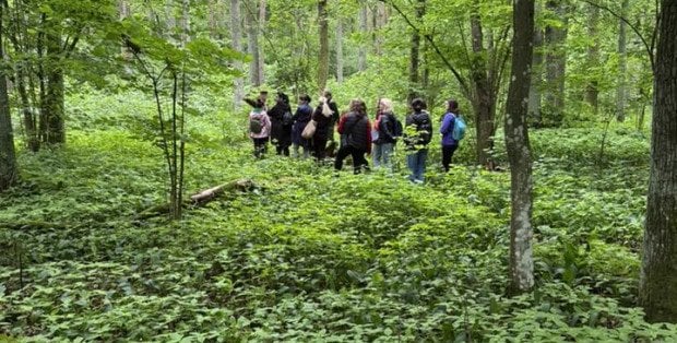 Jak nie zgubić się w lesie i co warto wziąć ze sobą na wyprawę? Leśnik podpowiada