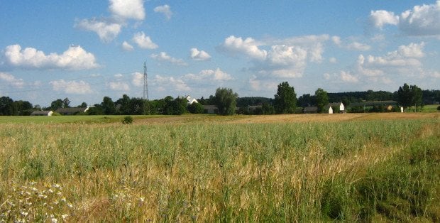 Sobolew chce stać się miastem. „Dla nas to wielkie szanse”