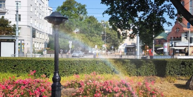 Ostrzeżenia przed upałami dla Mazowsza. Dziś choćby 30 stopni