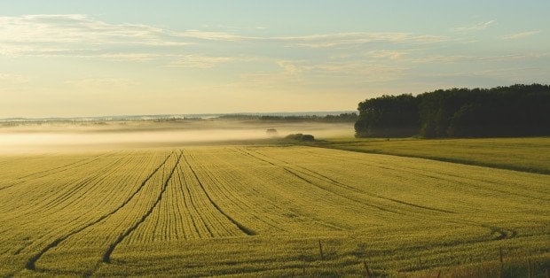 Nadpalone elementy w promieniu kilkudziesięciu metrów. Nieznany obiekt spadł k. Łukowa