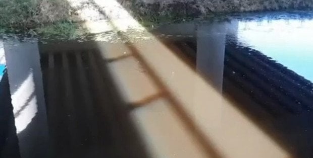 Śnięte ryby w rzece Raciążnica w powiecie płońskim. Zakład wypuścił ścieki